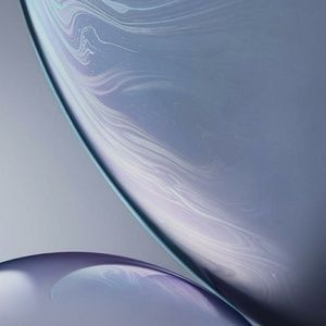 Meet your Posher, Walid